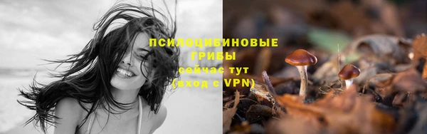 COCAINE Инсар