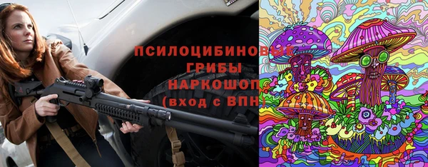 2c-b Инта