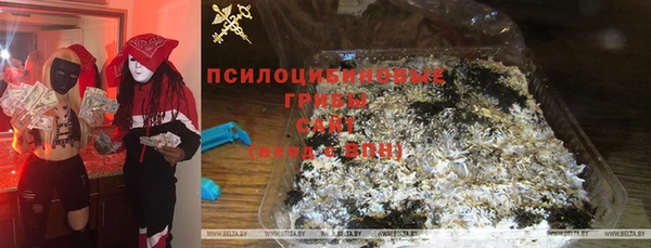 2c-b Инта