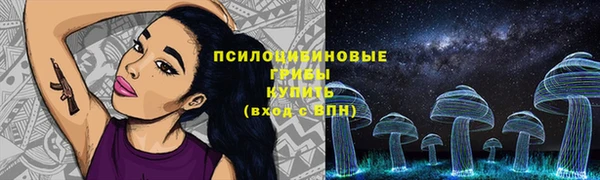 COCAINE Инсар